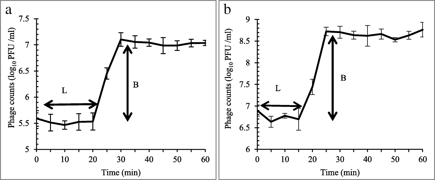 Fig. 5