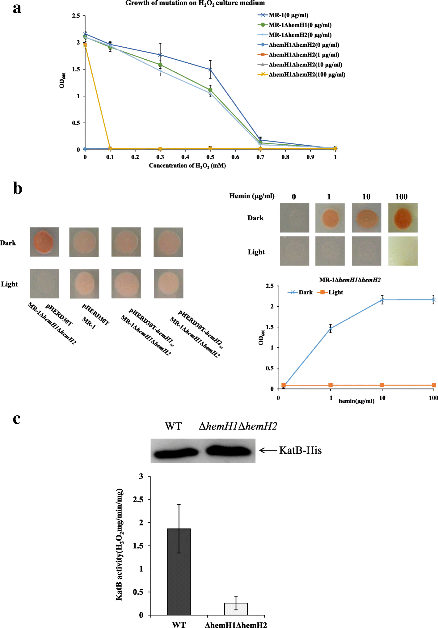 Fig. 5