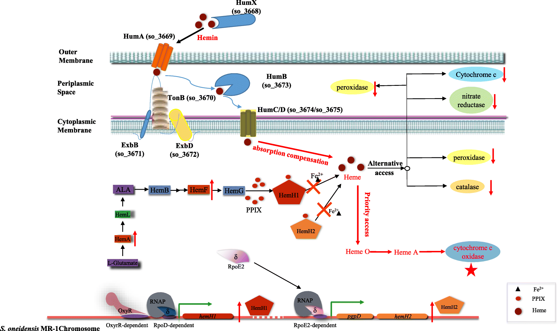 Fig. 8