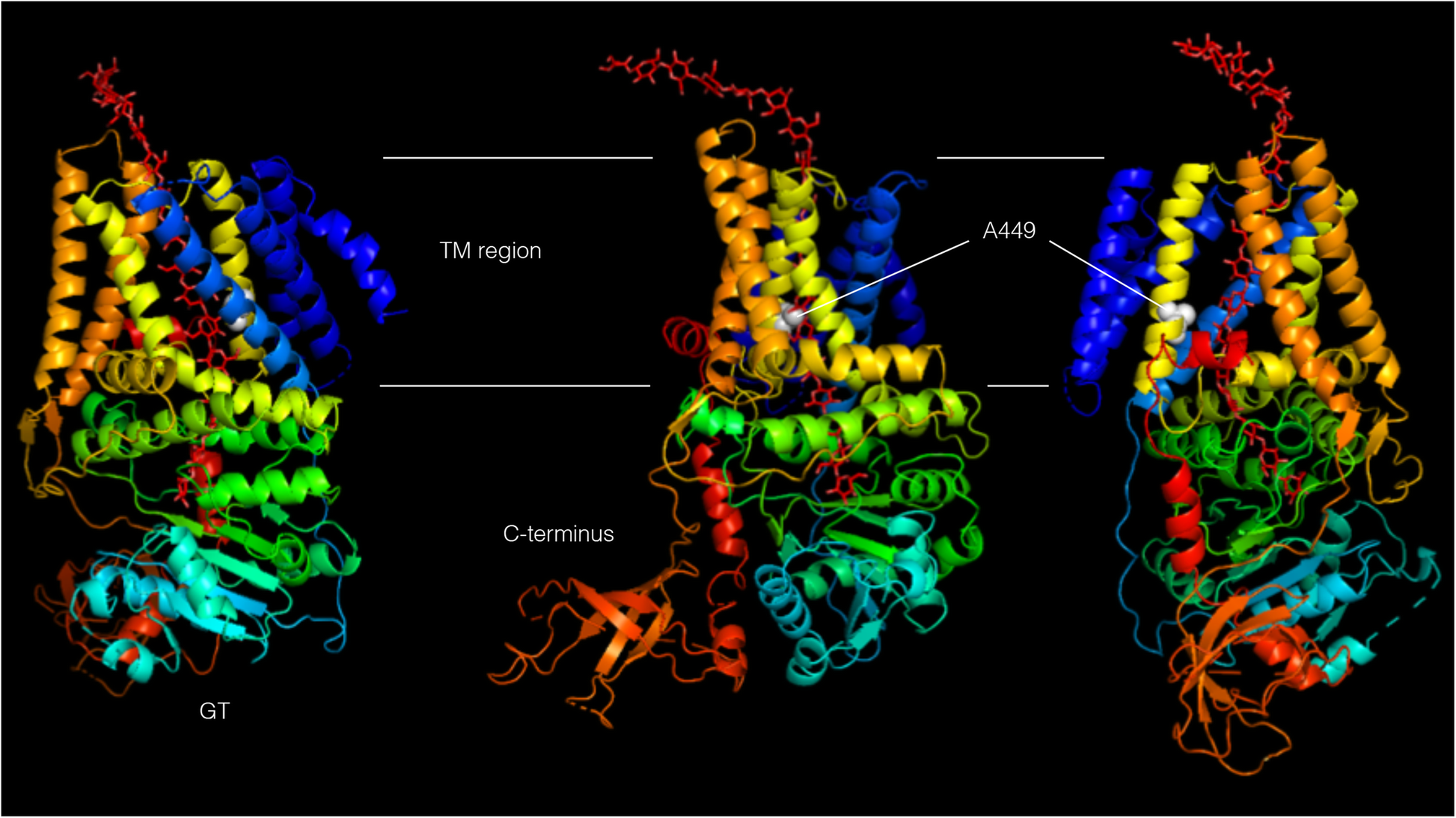 Fig. 3