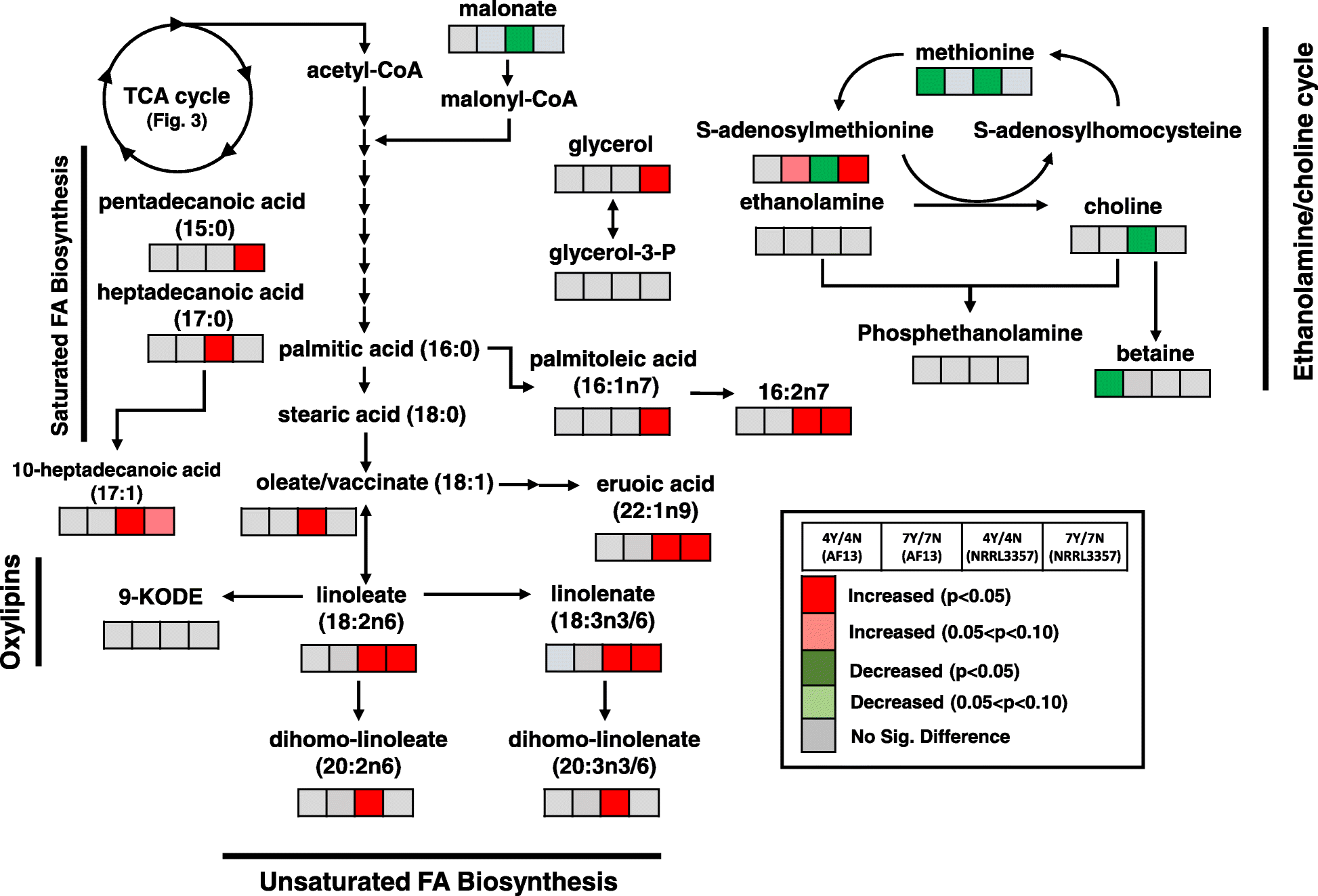 Fig. 5