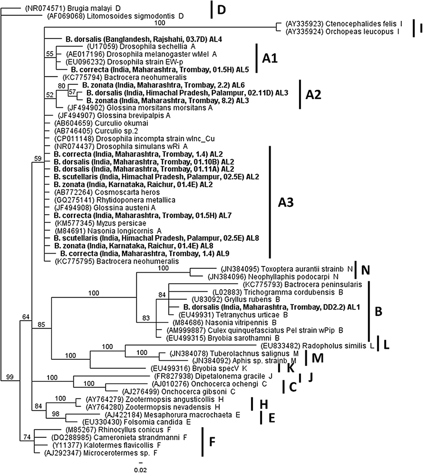 Fig. 1