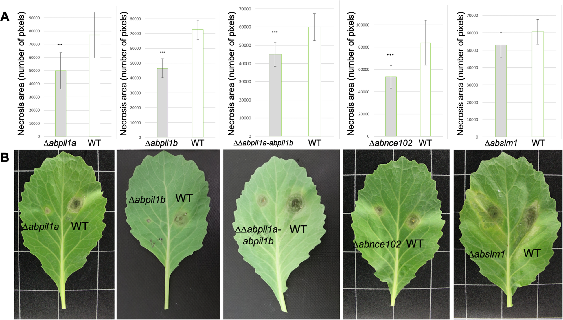 Fig. 4