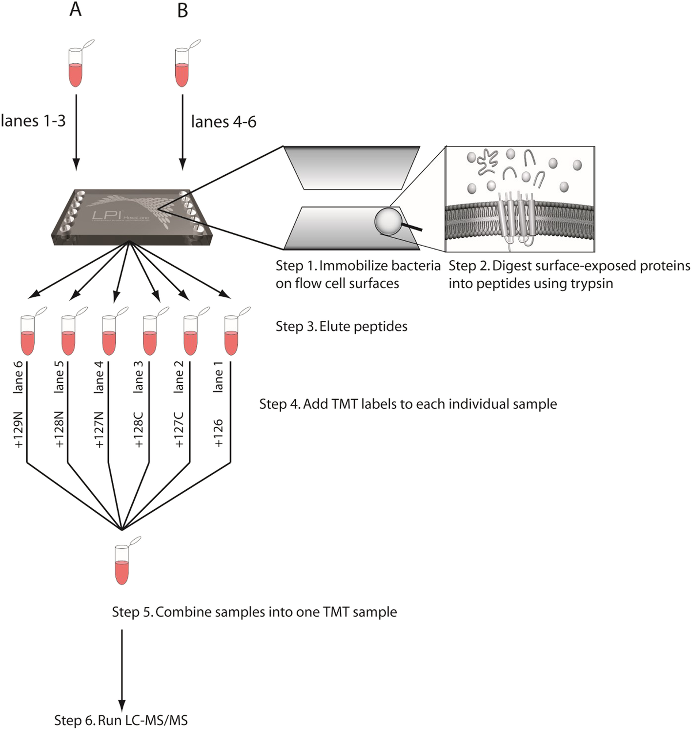 Fig. 4