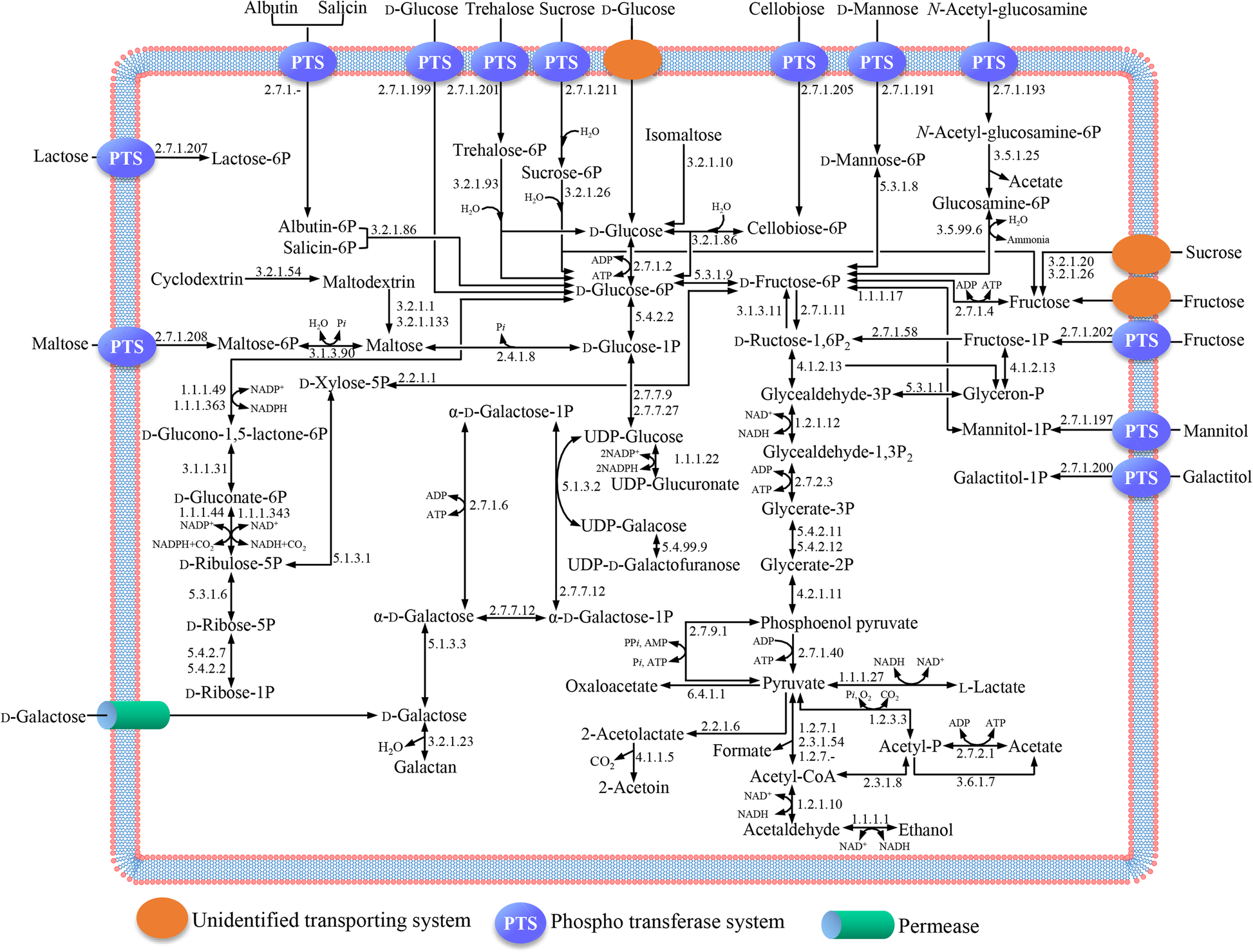 Fig. 4