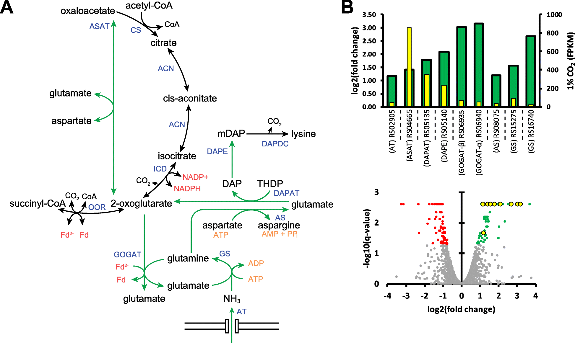 Fig. 6