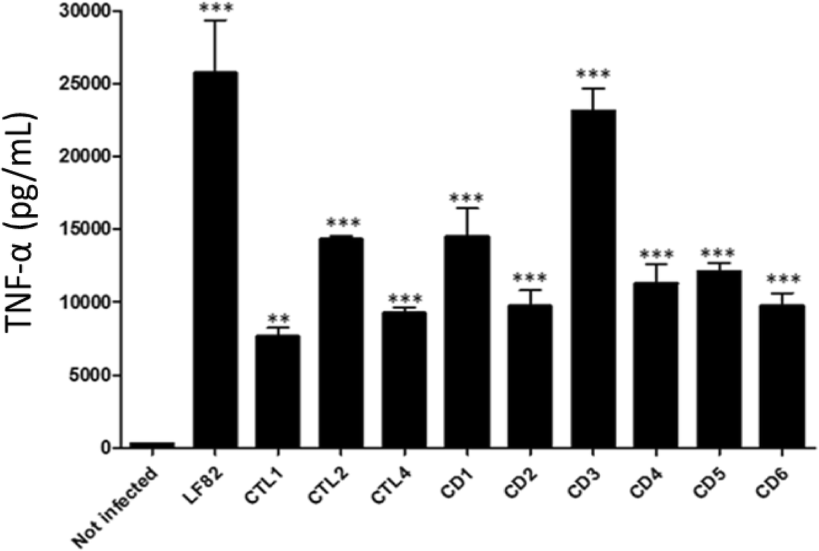 Fig. 4