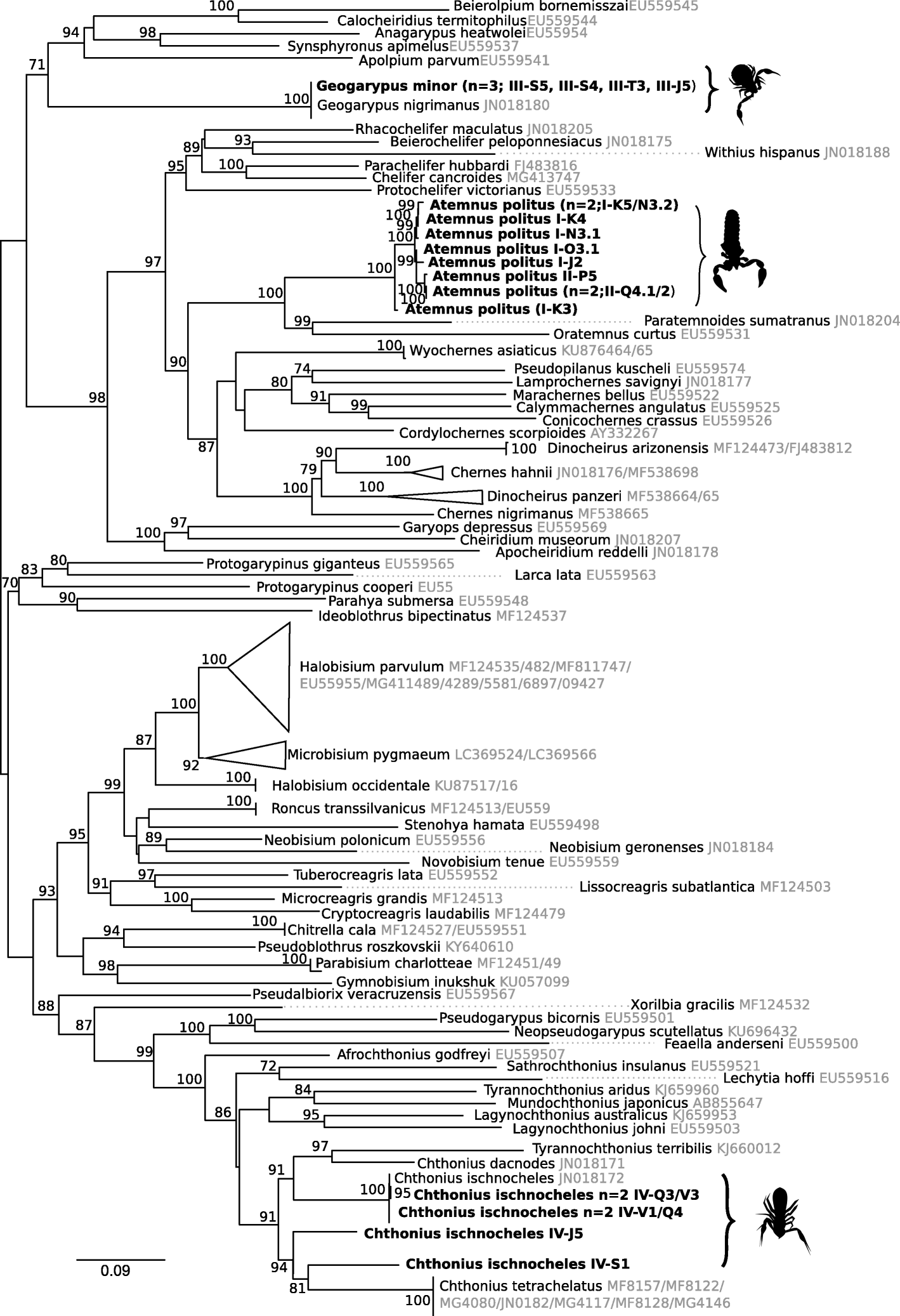 Fig. 1