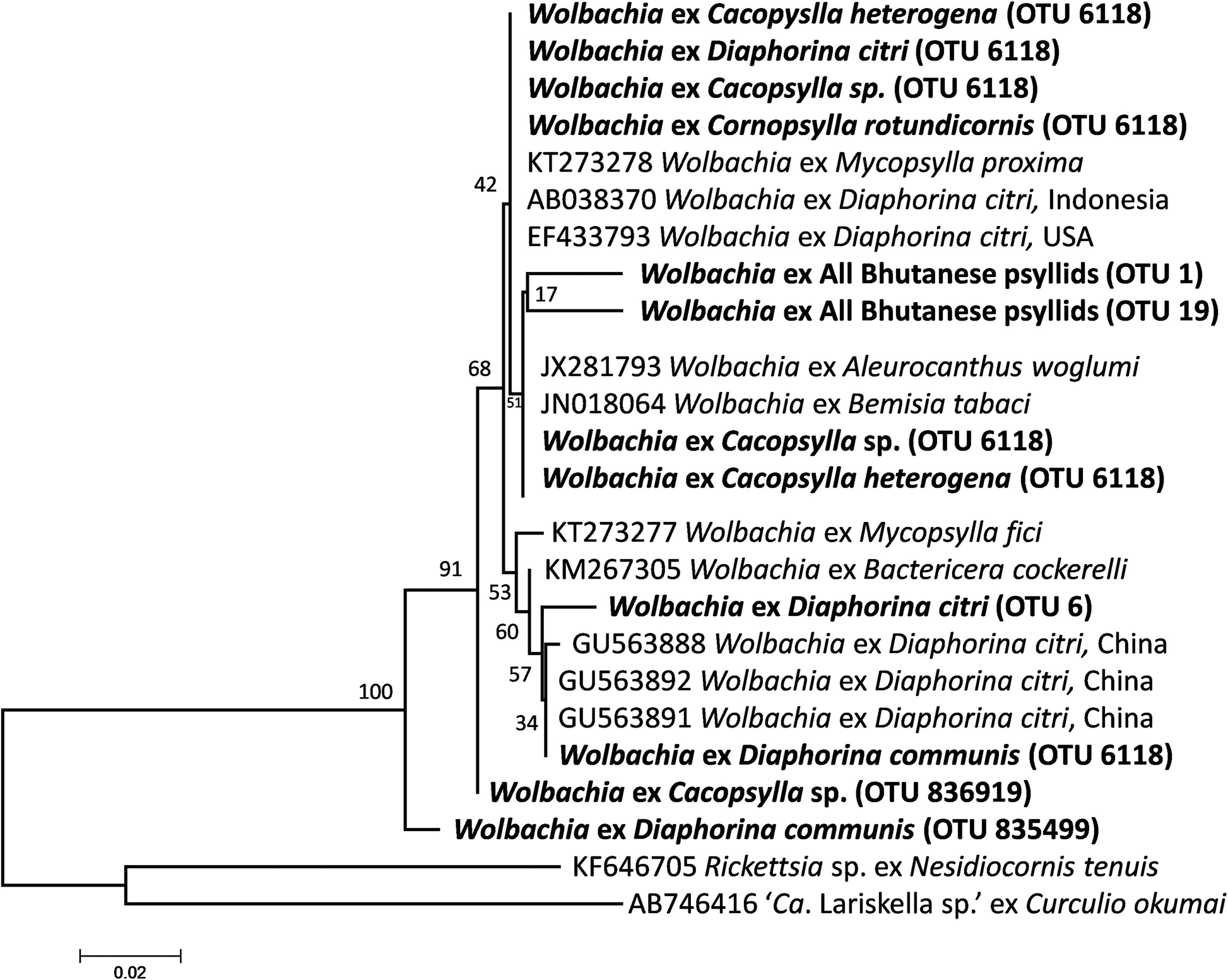 Fig. 4