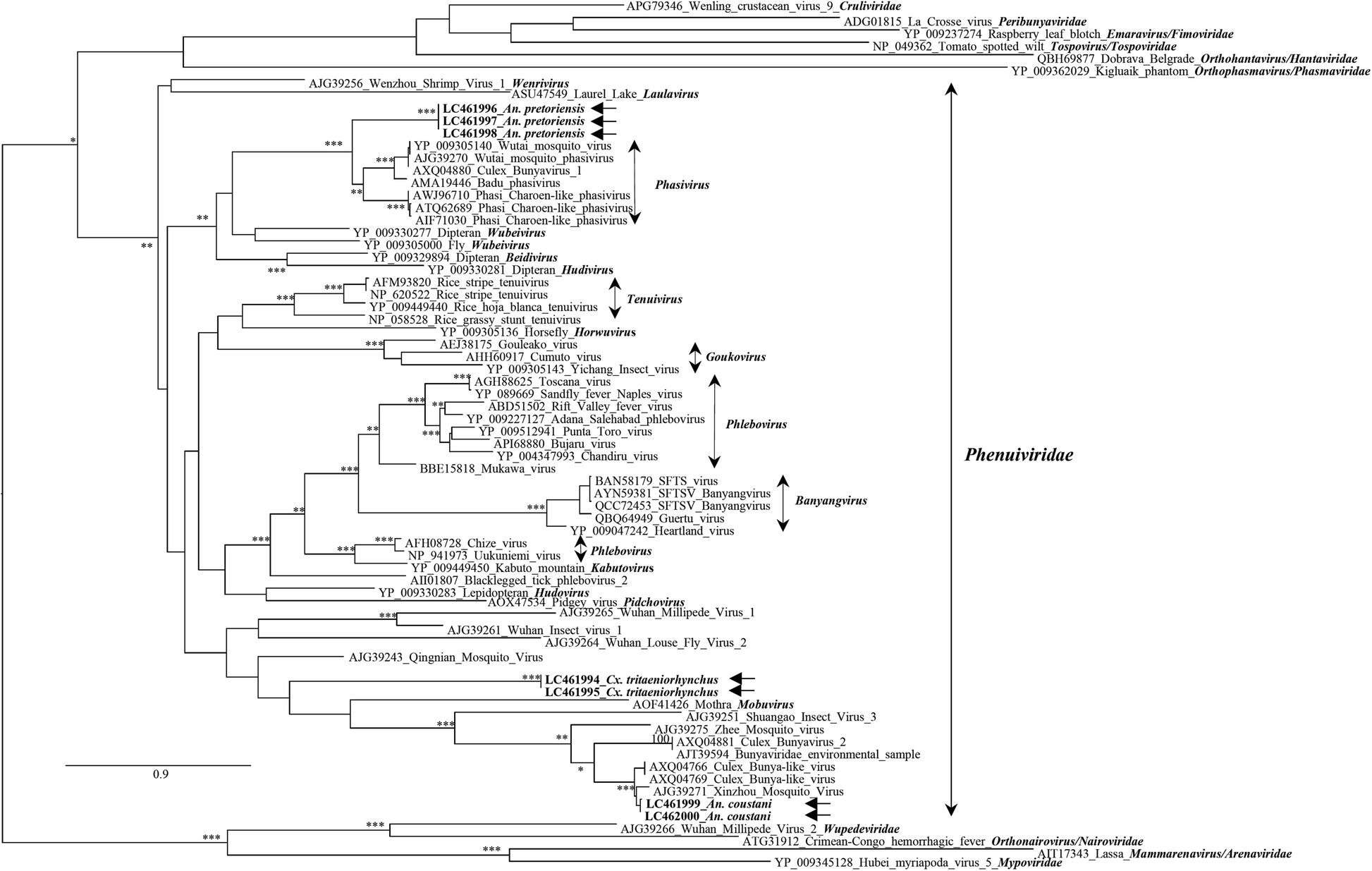 Fig. 3