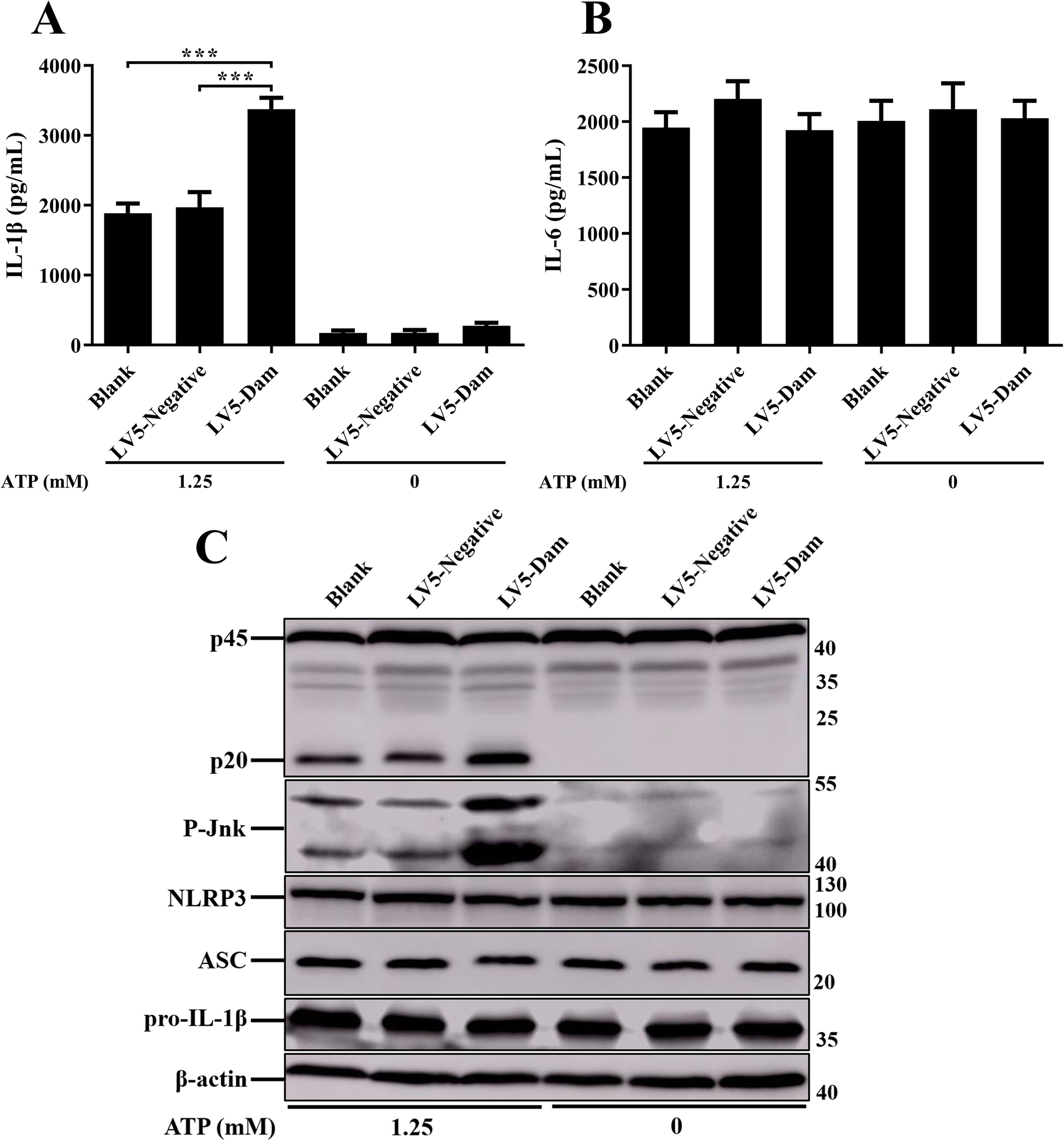 Fig. 12