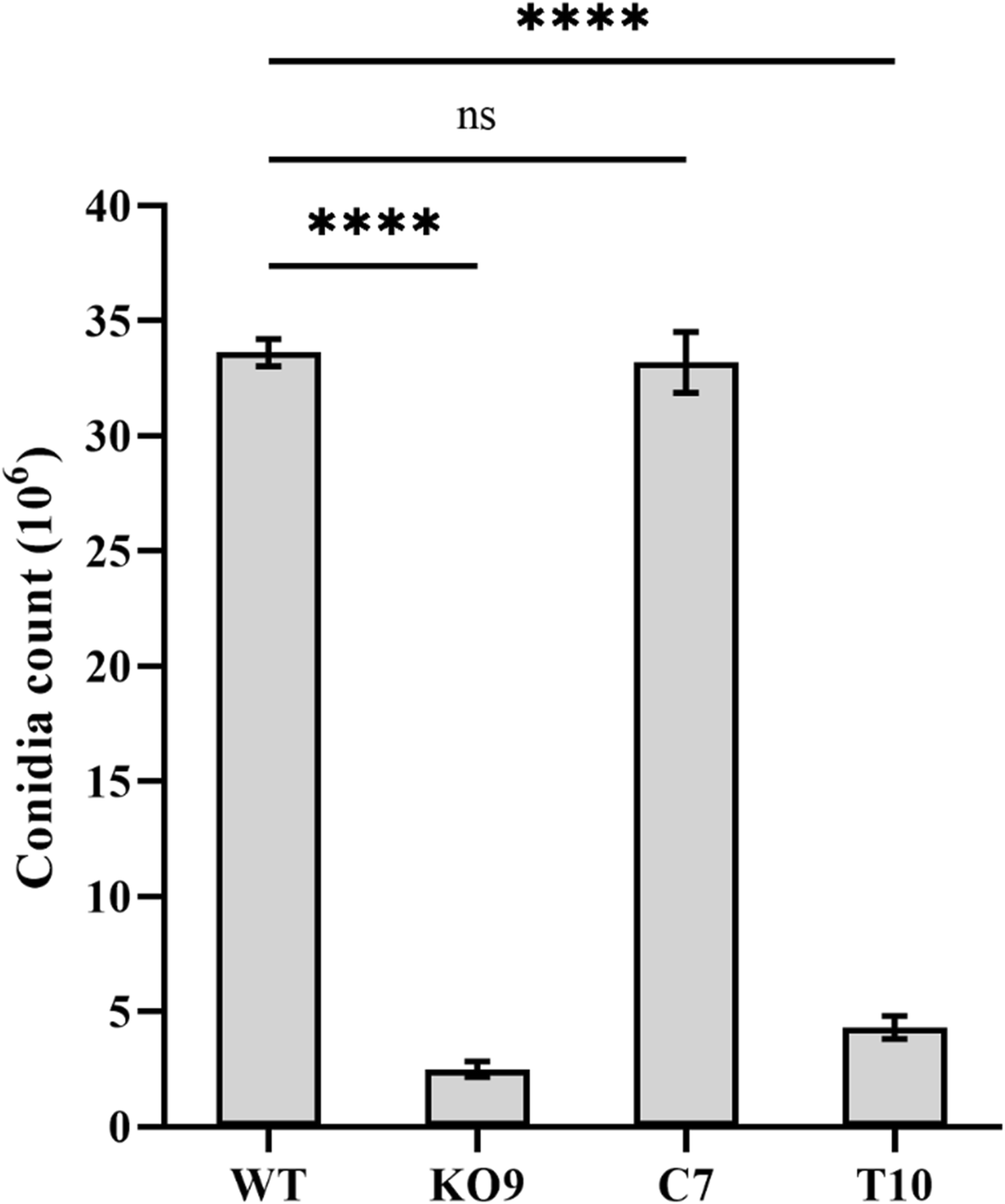 Fig. 6