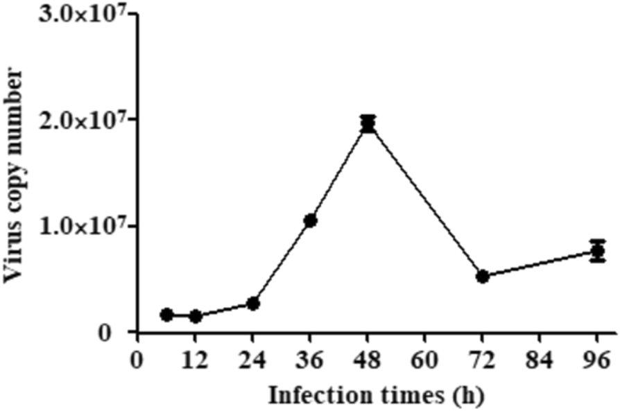 Fig. 2