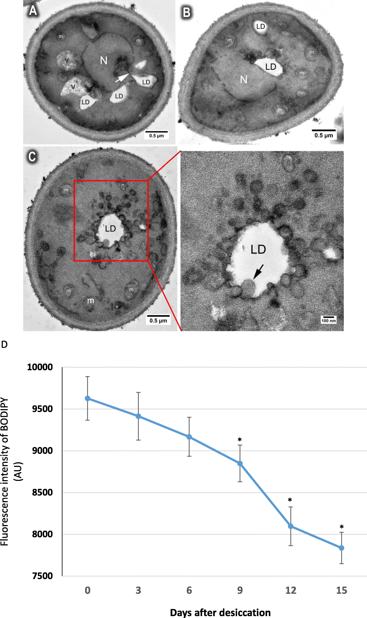 Fig. 6