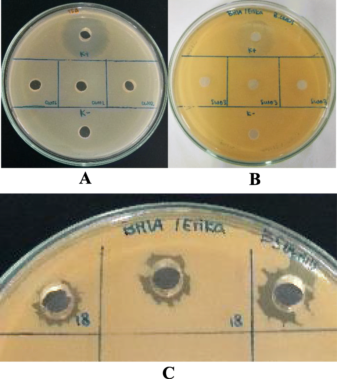 Fig. 2