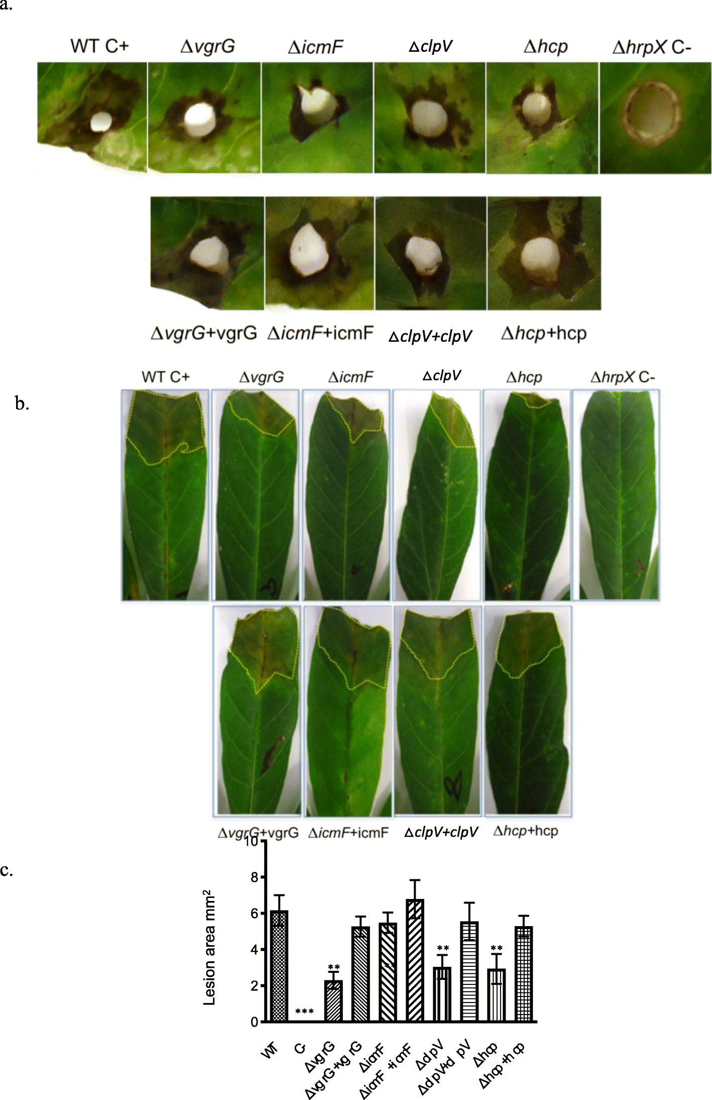 Fig. 4