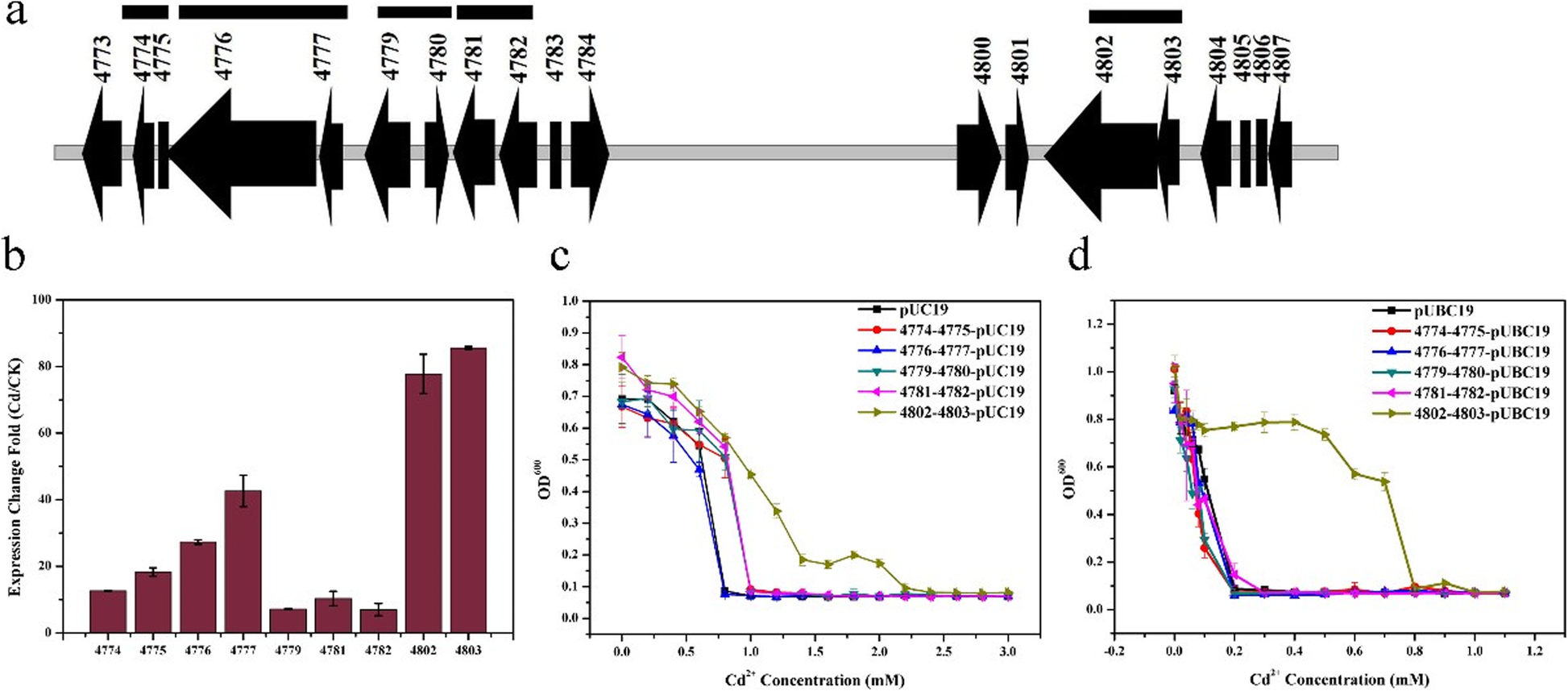 Fig. 4