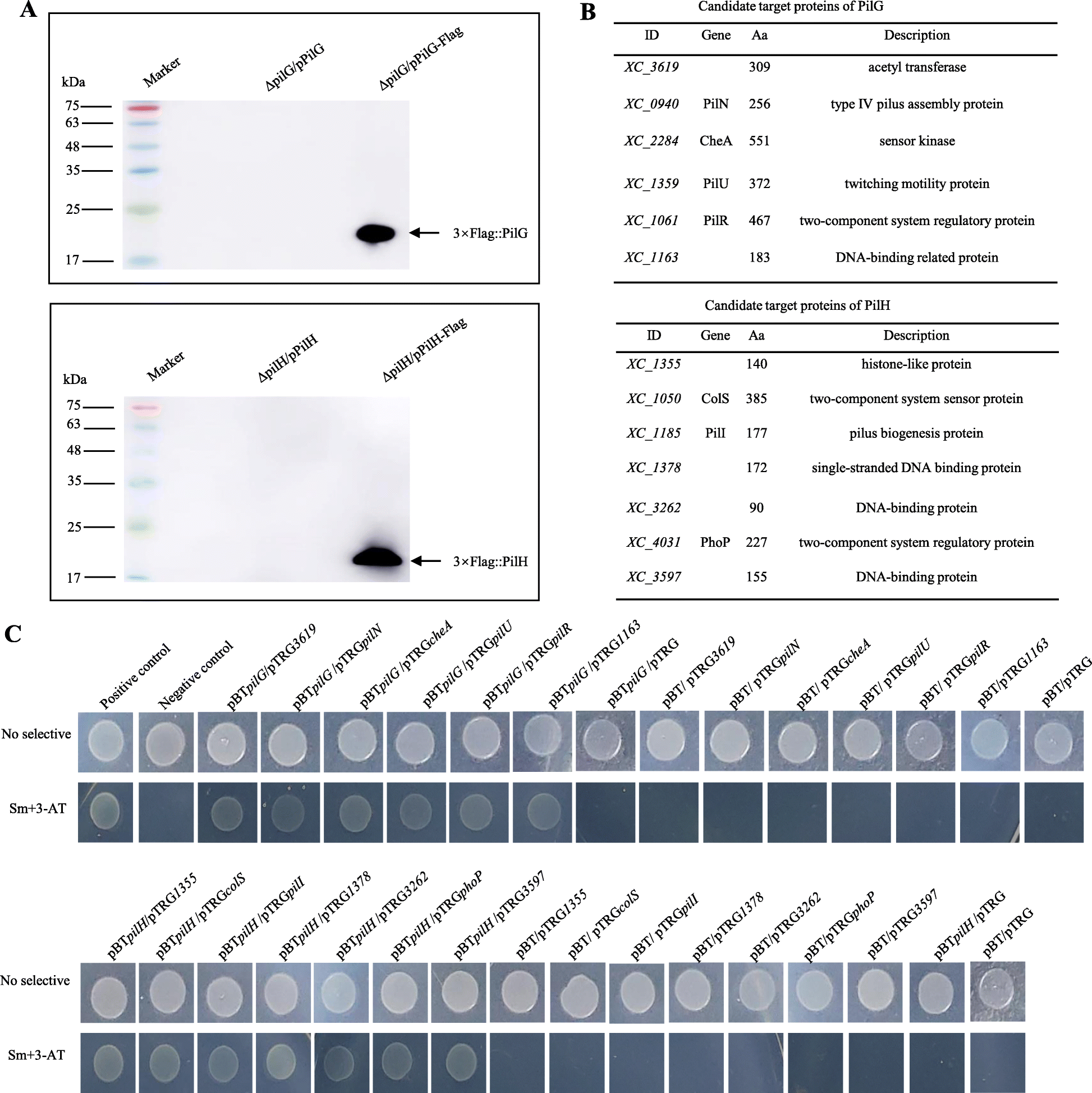 Fig. 5