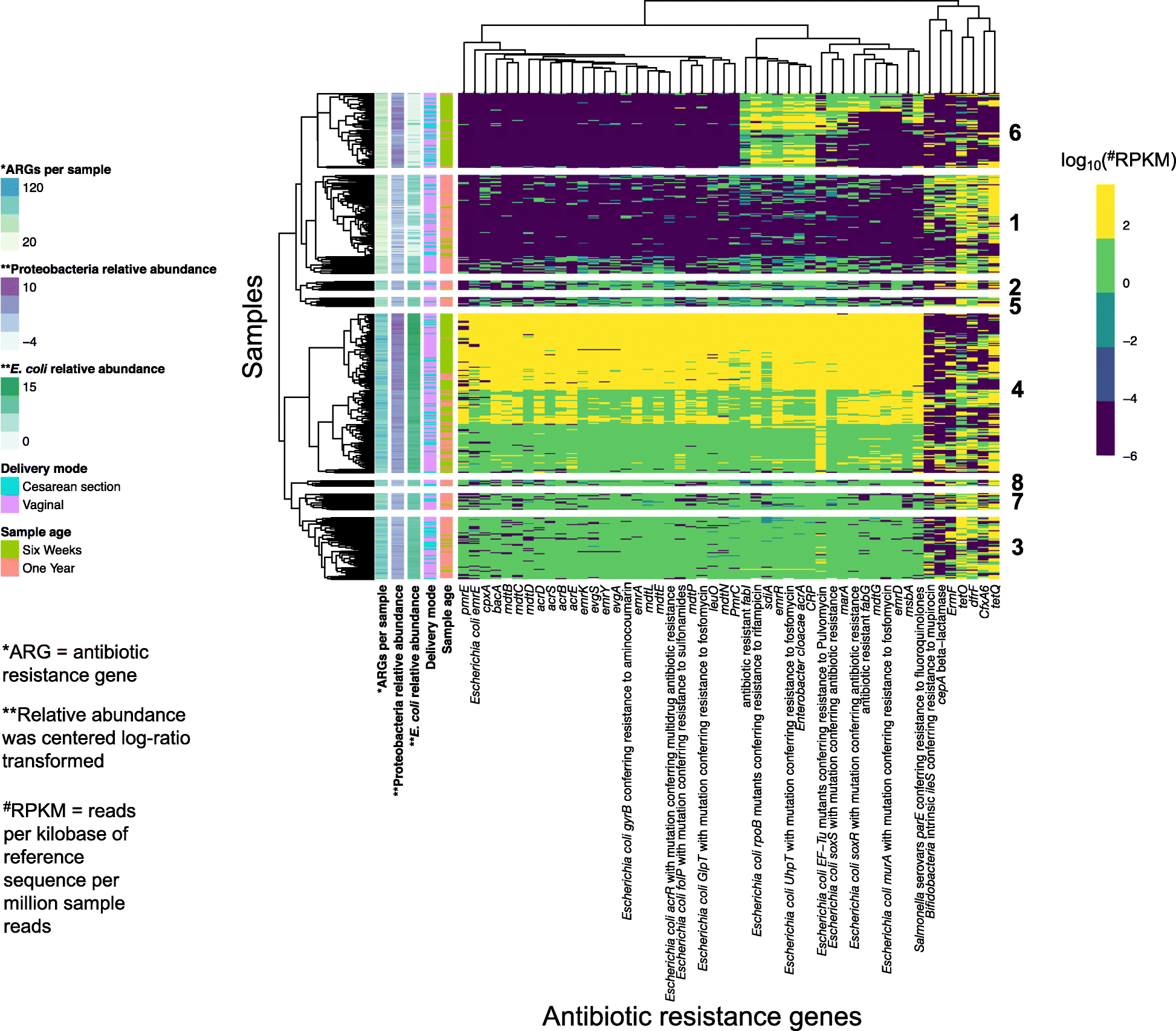 Fig. 5