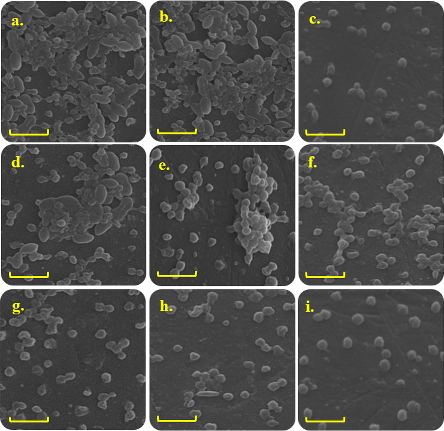 Fig. 10