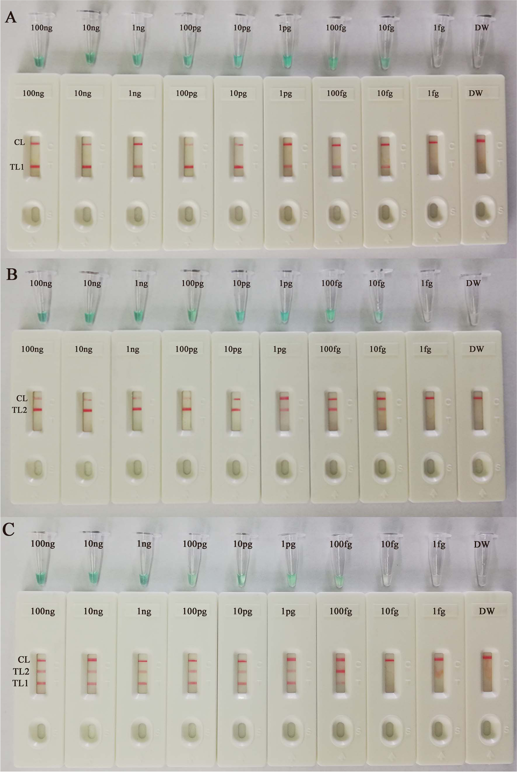 Fig. 4