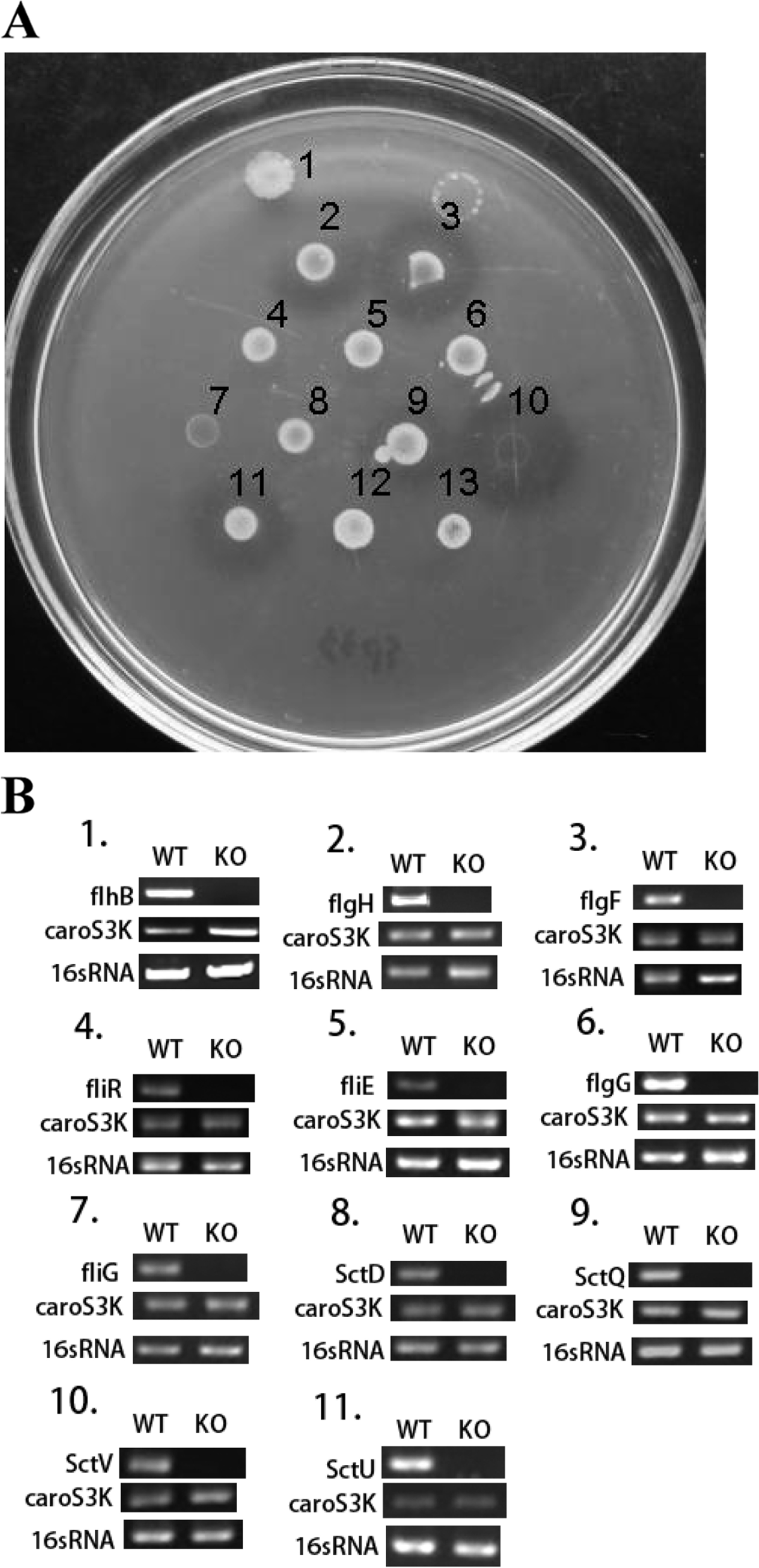 Fig. 5