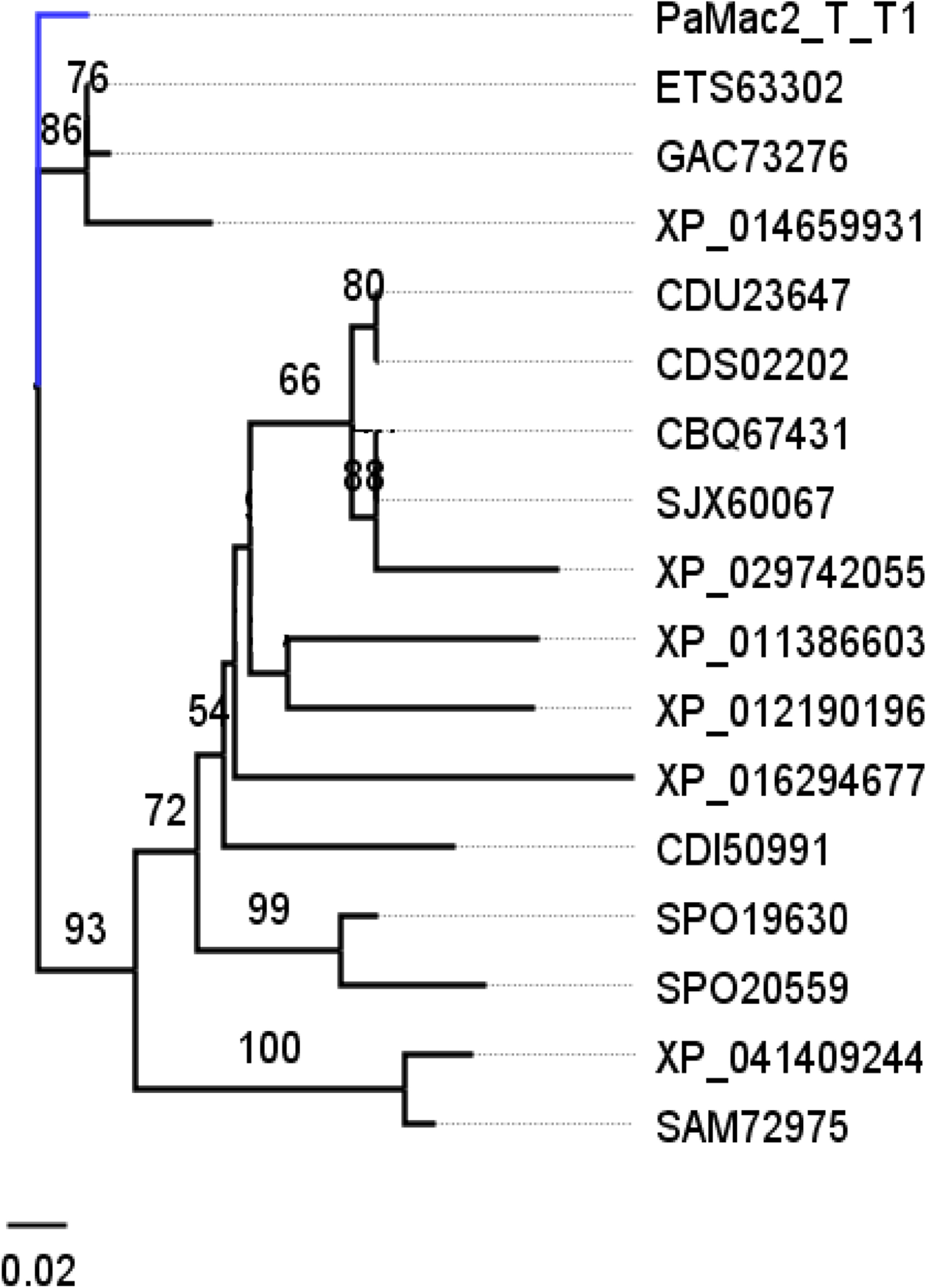 Fig. 10