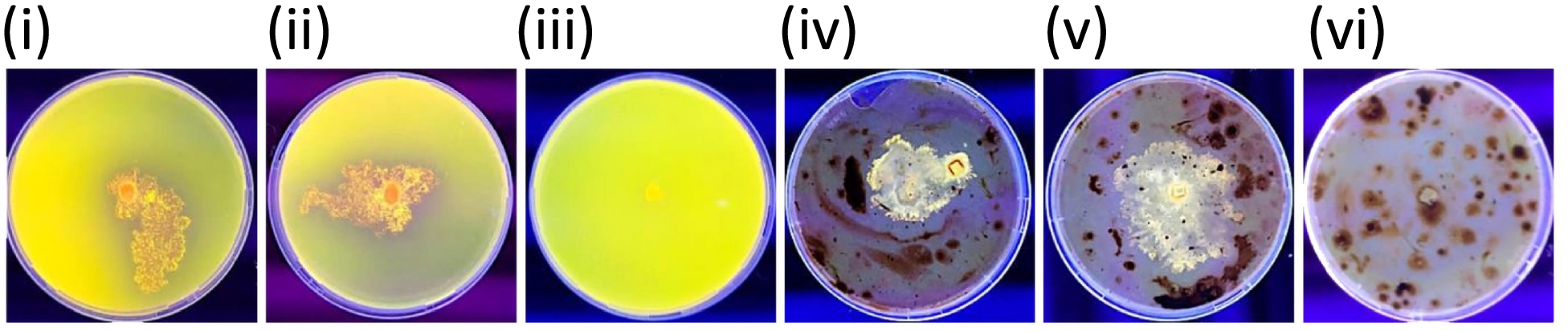 Fig. 18