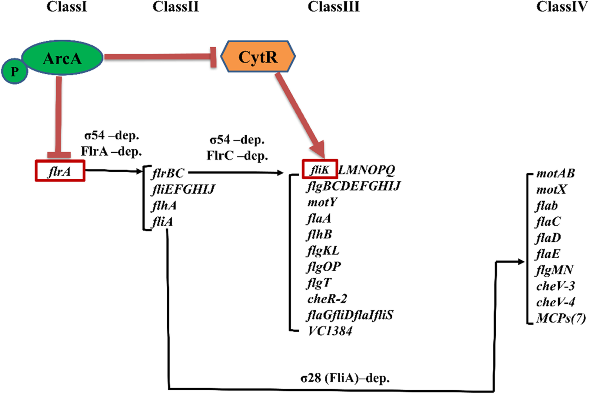 Fig. 5