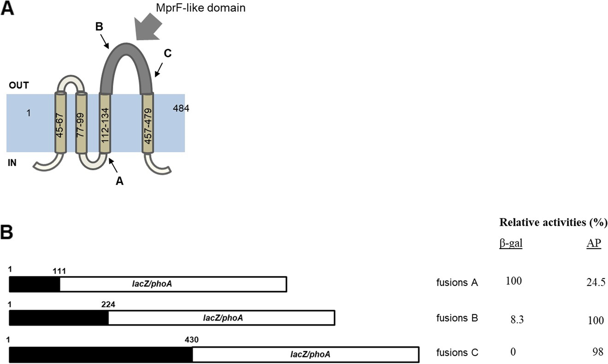 Fig. 2