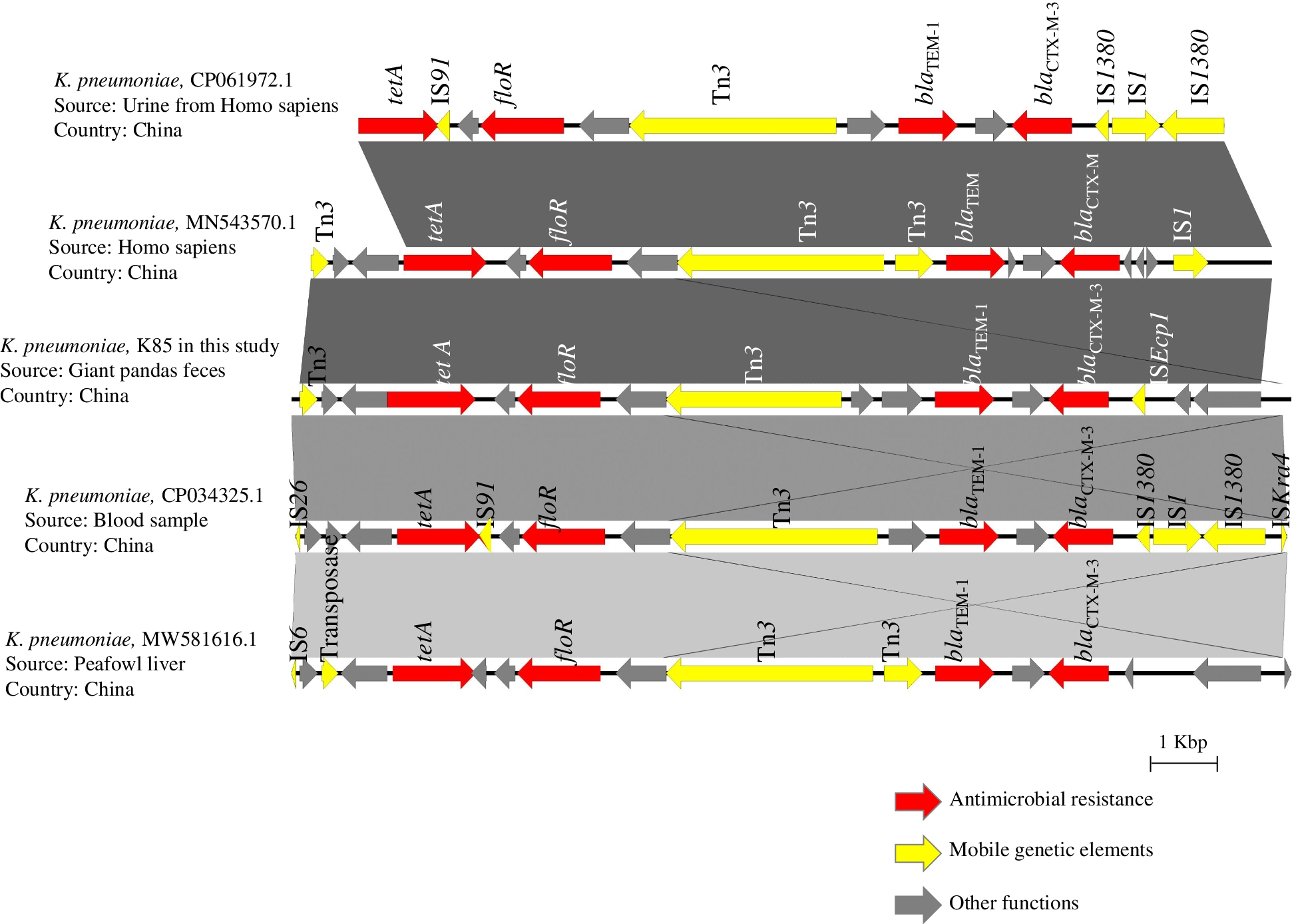 Fig. 4