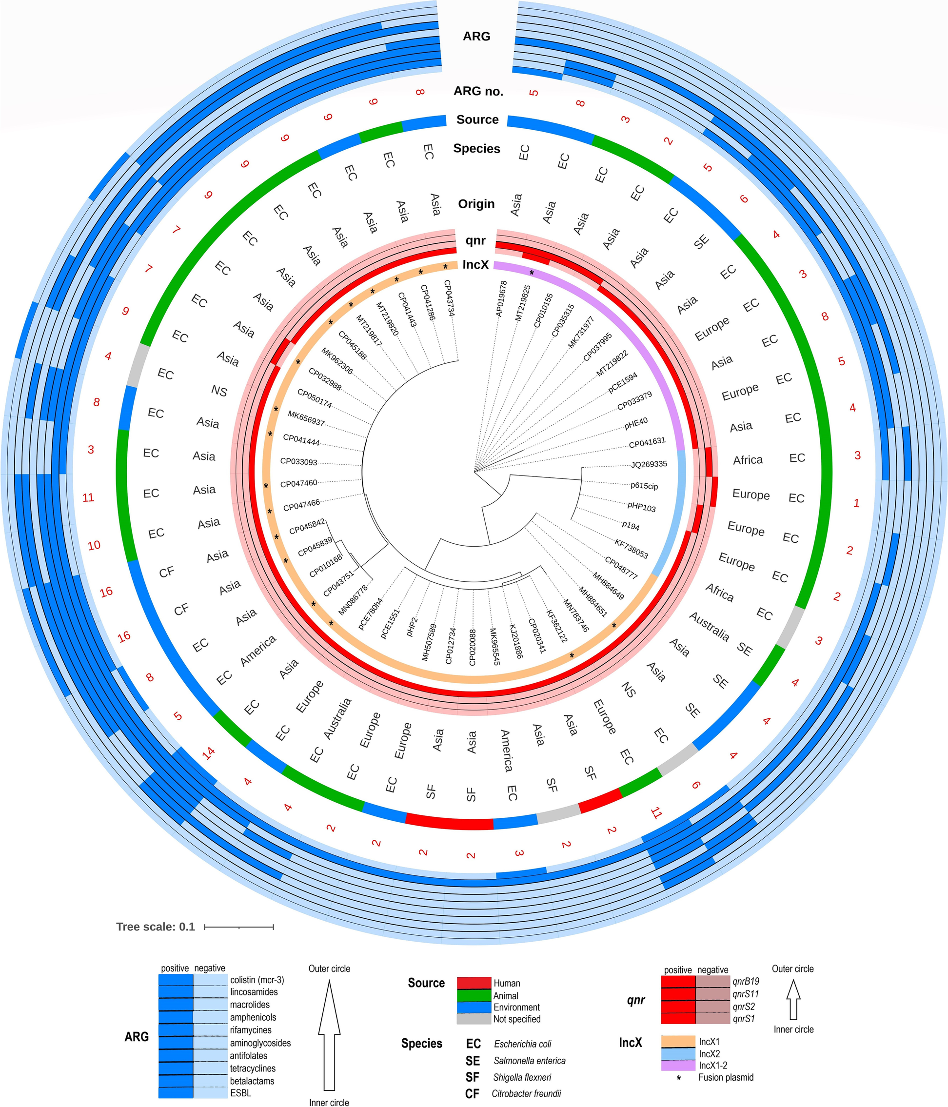 Fig. 7