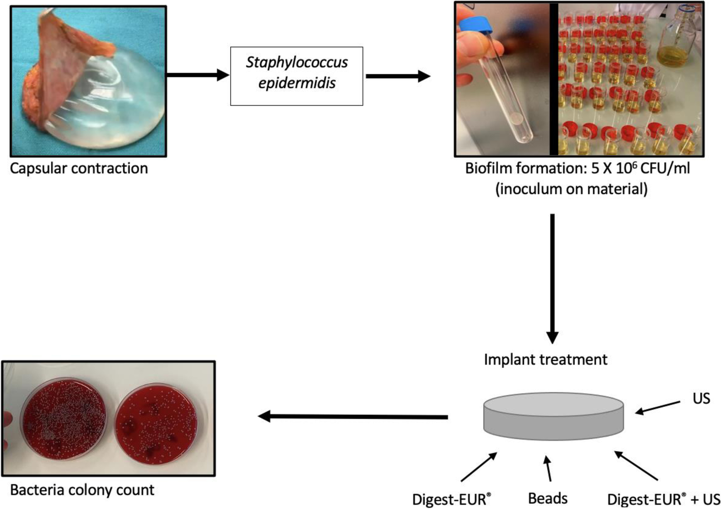 Fig. 13