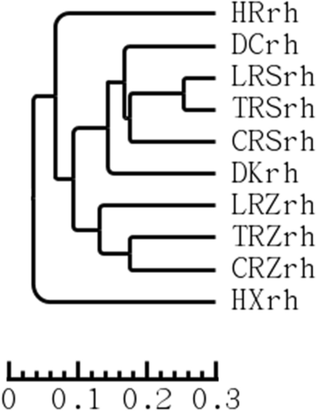 Fig. 10