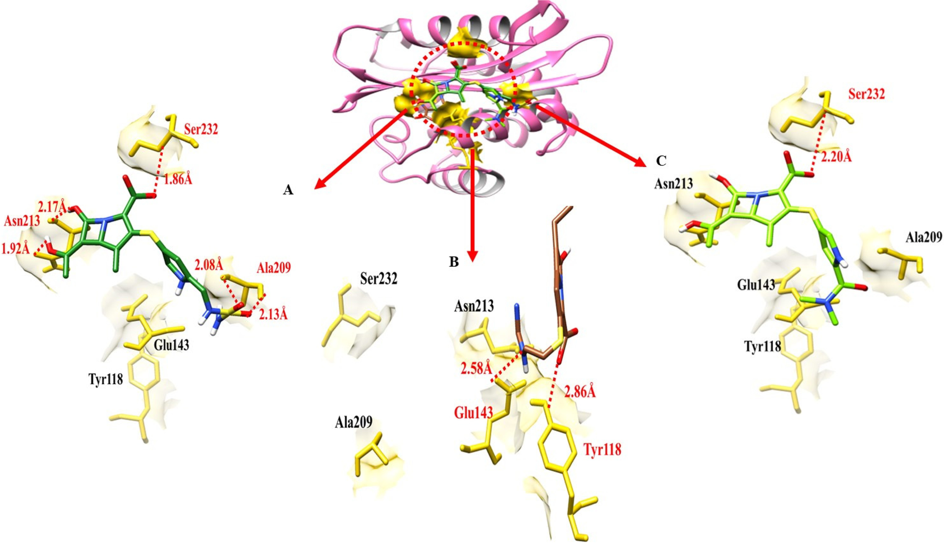 Fig. 12