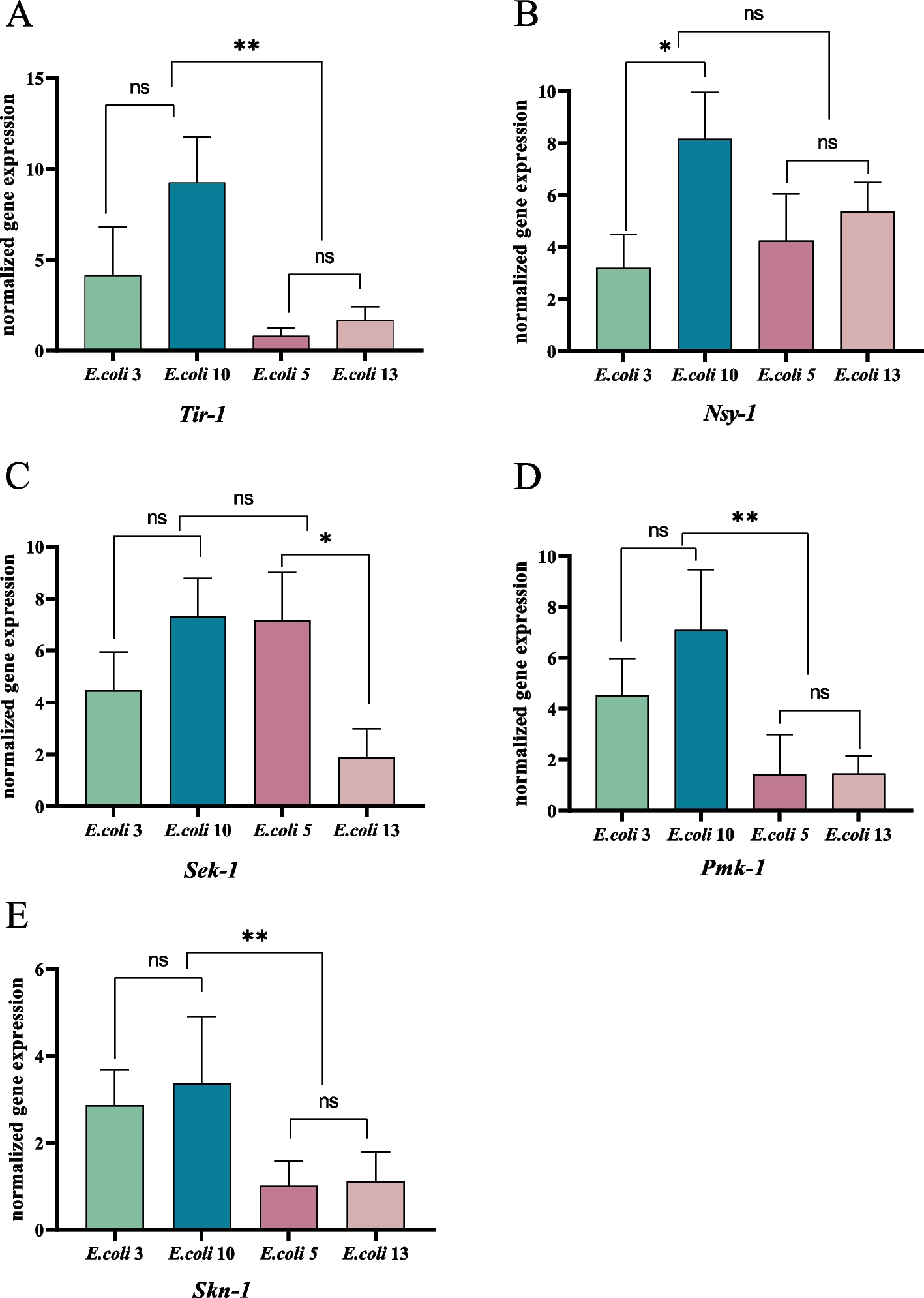 Fig. 2