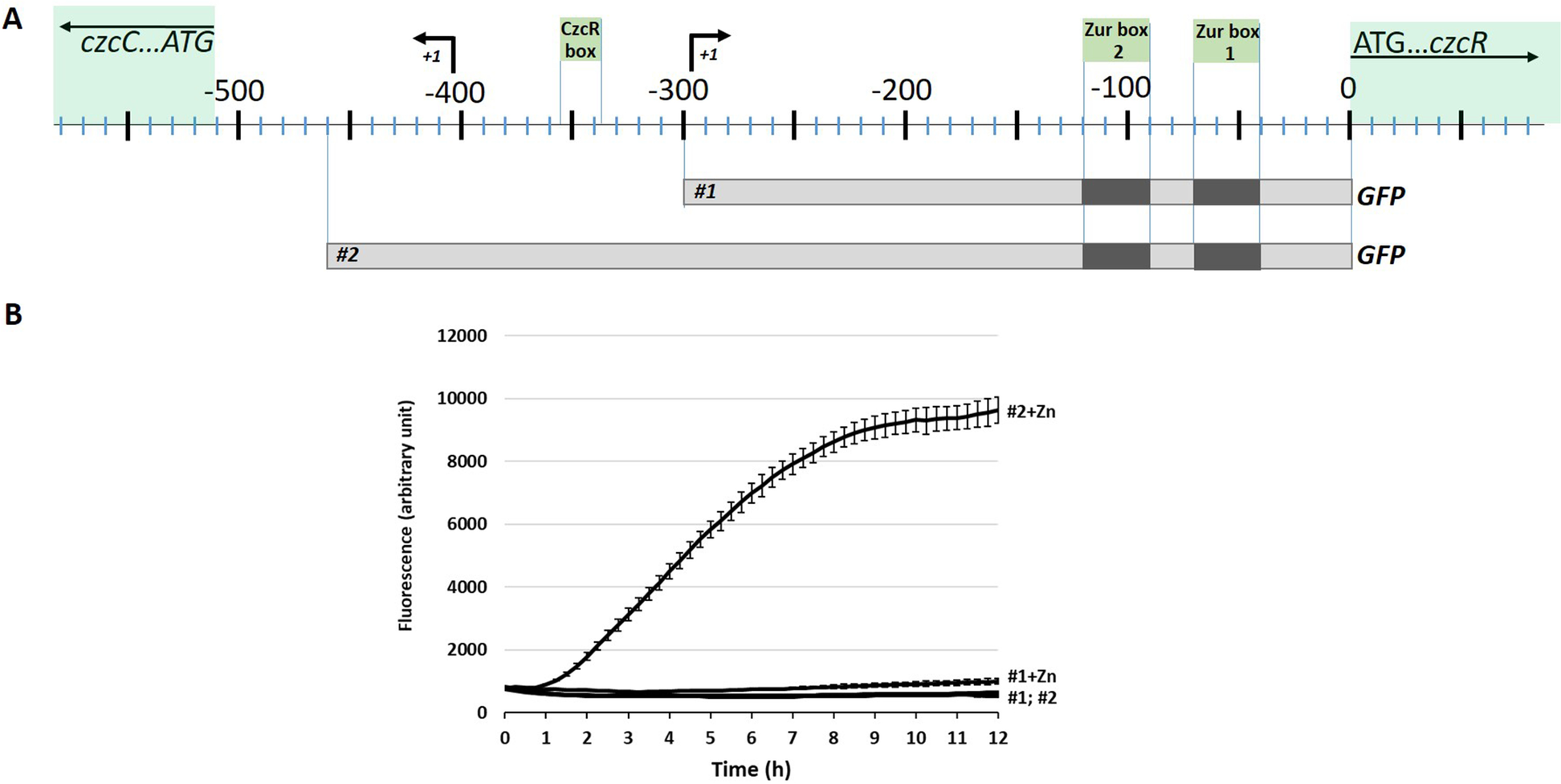 Fig. 2