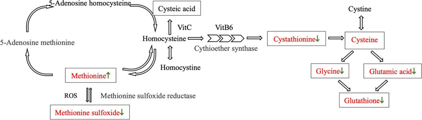 Fig. 7