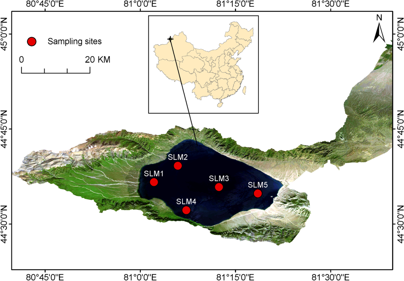 Fig. 1