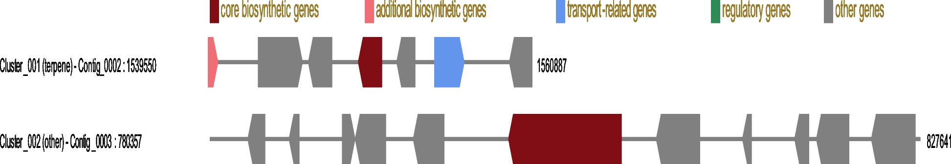 Fig. 10