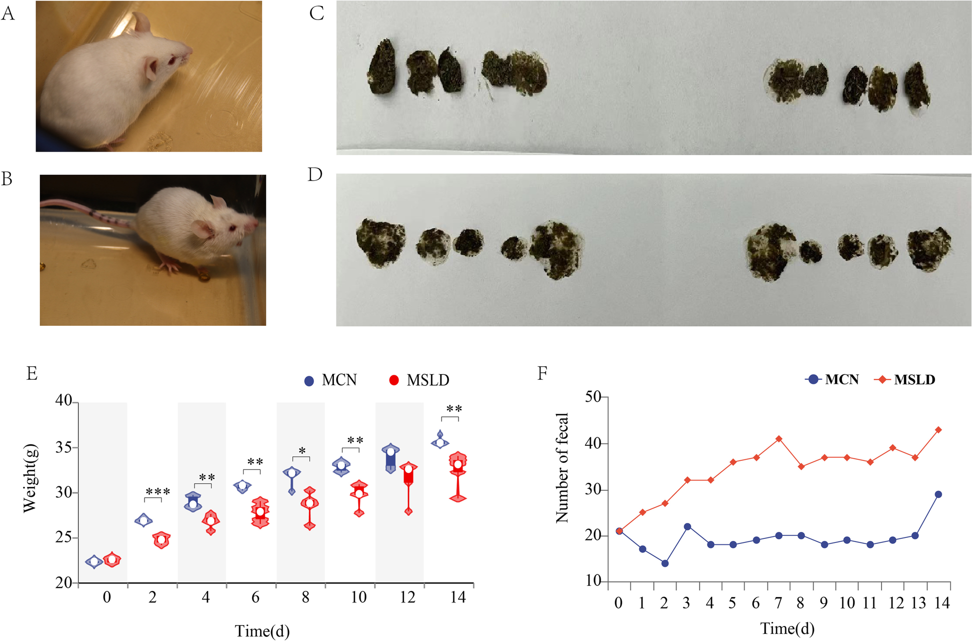 Fig. 2