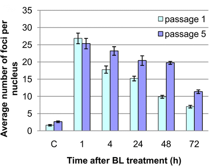 Fig. 4