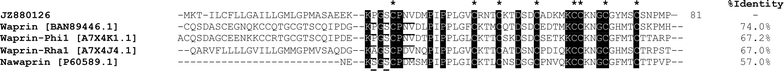 Fig. 7