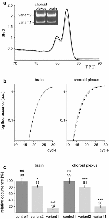 Fig. 7