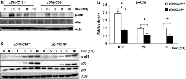 Fig. 6