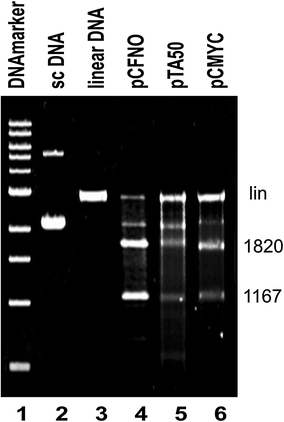 Fig. 3