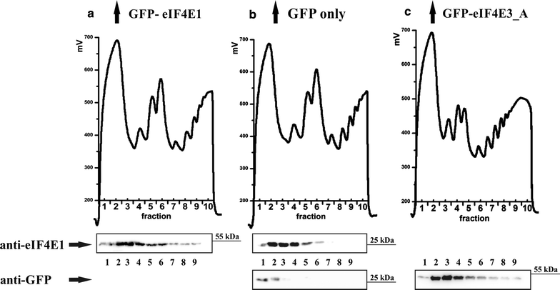 Fig. 10