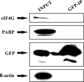 Fig. 9