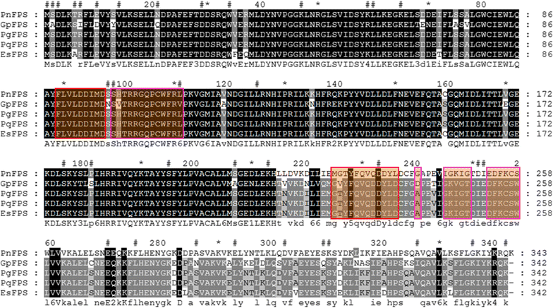 Fig. 2