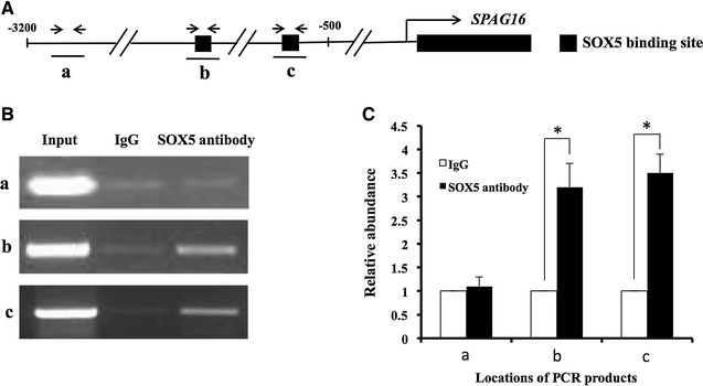 Fig. 4